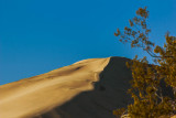 Kelso Sand Dunes