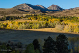 Fall in the Sierra Nevada