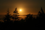 A Sea of Fog