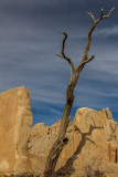 Ryan Ranch Ruins