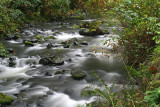 South Fork Creek