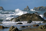 Harris Creek State Park