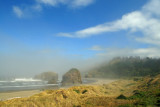 Fog-shrouded morning