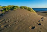 Sand Dunes