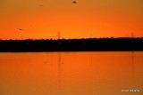 Sunset, Lake Hefner, Oklahoma City, OK, 12_12_2013_Jp_05370.JPG