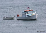 Captian Andy, Barbara Frost ship, Machias Seal Island, ME, 7-12-15, Jp_2191.JPG