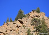 Mountain, cabin Estes Park, CO, 6_14_2016_Jp_19264.JPG