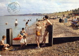 Beach & Cliffs 1962