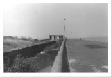 Tea on the prom