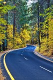 winding-road-color-1.jpg