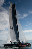 Alinghi