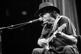 Tony Joe White