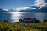 Lavaux