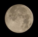 Super Duper Moon is Today P1020671.JPG