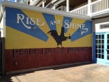 Rise & Shine, Asbury Park