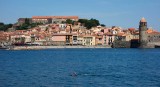 Collioure 5