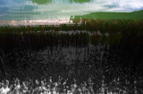 Water paint
