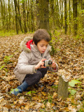 Mushroom photography