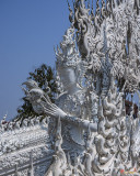 Wat Rong Khun Apsara (DTHCR0014)