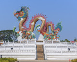 Suan Sawan Golden Dancing Dragon (DTHNS0149)