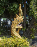 Wat Suan Dok Wihan Luang Naga (DTHLU0352)