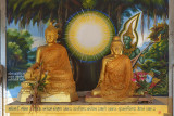 Wat Klang Thung Buddha Shrine (DTHCM1066)