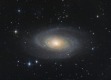 M81Crop.jpg