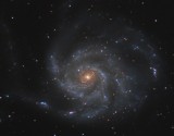 M101SCOcrop.jpg