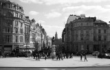 IMG_8331.jpg