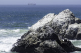 Seal Rock