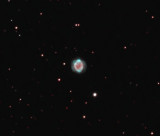 Bicolor IC289
