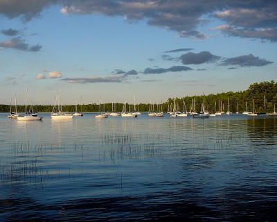 DSC03347.jpg
