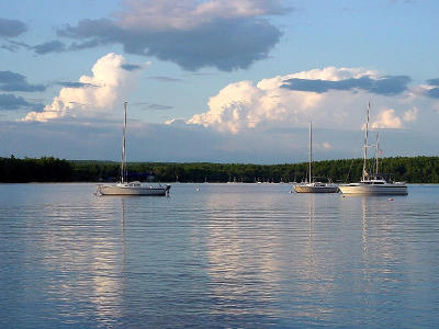 DSC03350.jpg