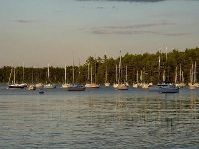 DSC03366.jpg