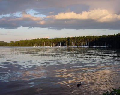 DSC03378.jpg