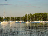 DSC03343.jpg