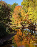 Lamington River, Branchburg/Bedminster NJ