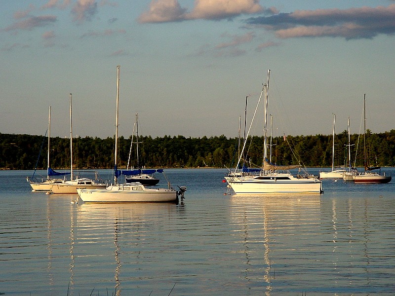 DSC03344.jpg
