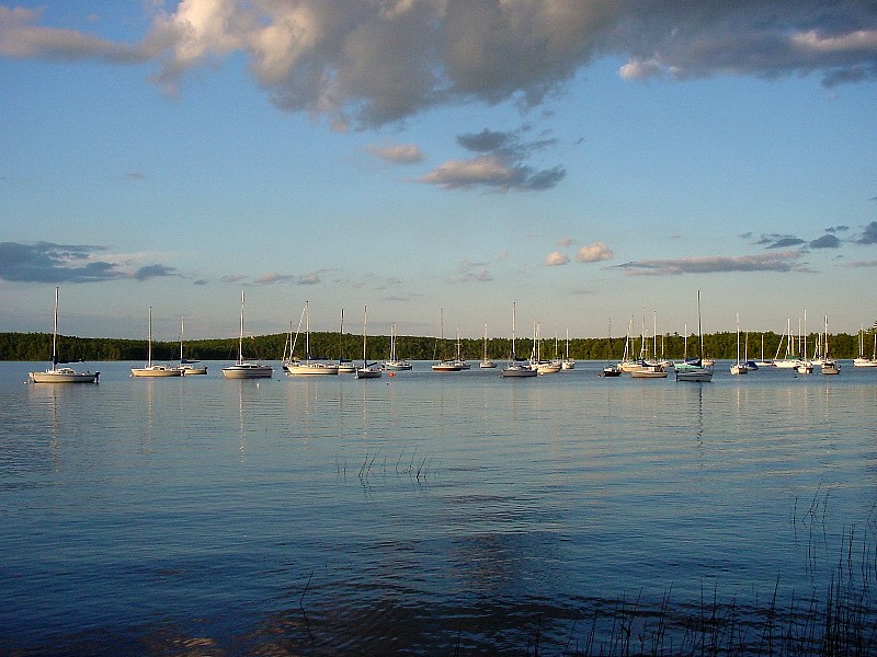 DSC03348.jpg