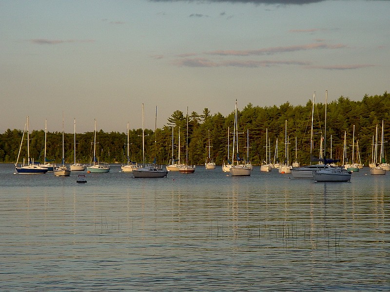 DSC03366.jpg