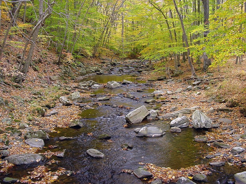 Rockaway Creek, Tewksbury