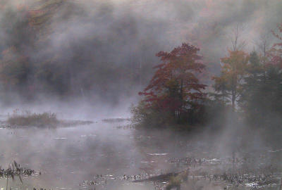 Algonquin Park