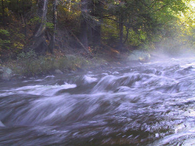 Whiskey Rapids