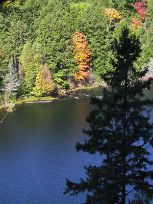Hemlock Bluff