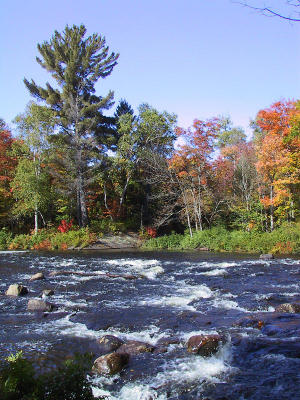 Oxtongue River