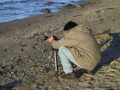 Wildlife Photographer