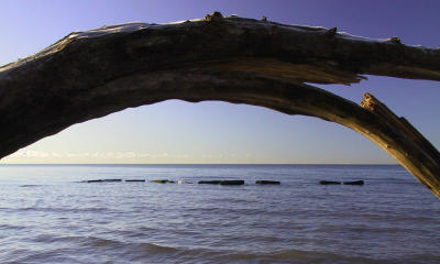 Arch