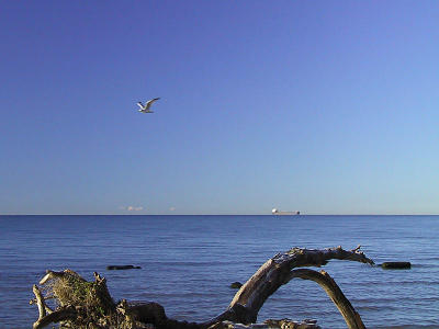 Flyby