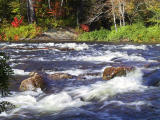 Oxtongue Rapids