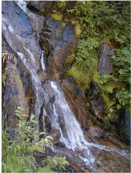 Waterfall - Cayuse Pass